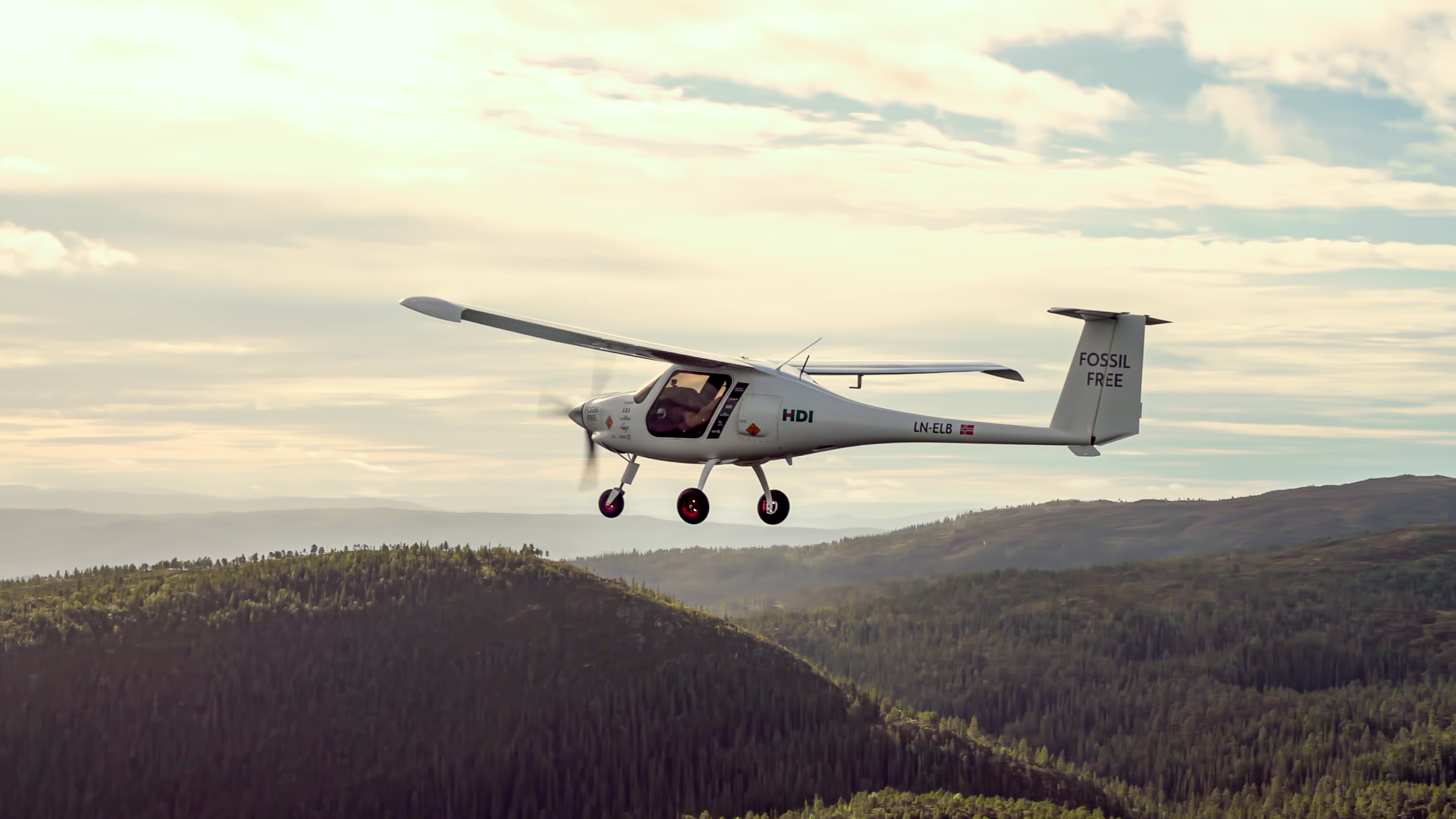 Elfly avinor